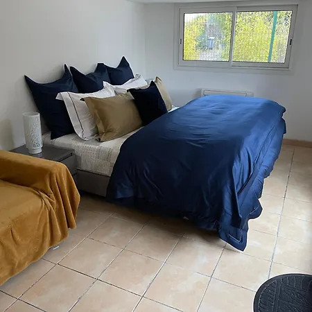 Climatisee Piscine 3 A 800m * Антиб