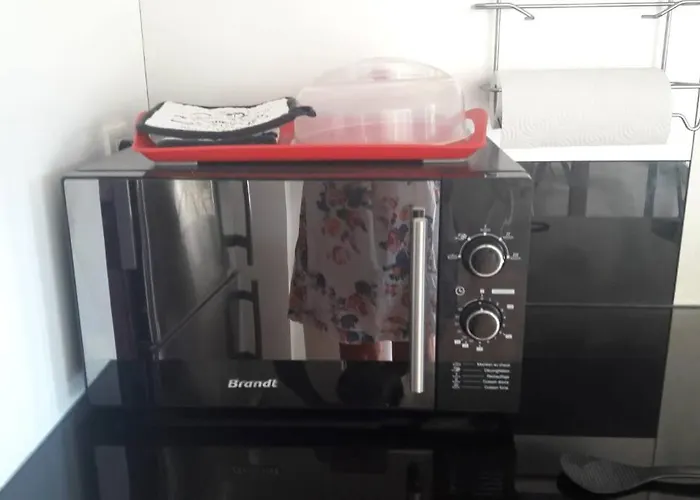 Holiday home Climatisee Piscine 3 A 800m *